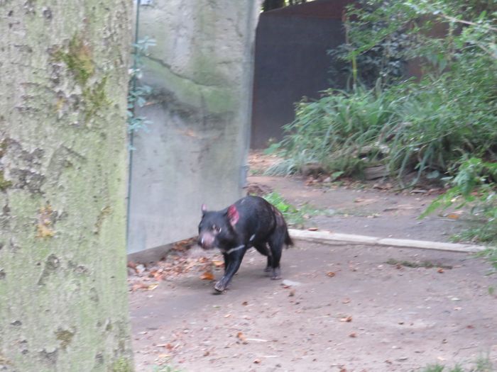 Nutzerbilder ZOO Duisburg AG