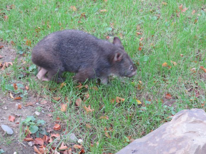 Nutzerbilder ZOO Duisburg AG