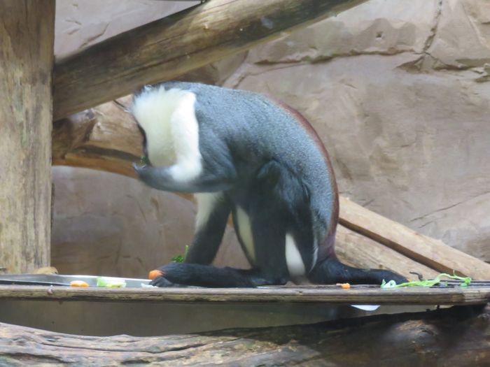 Nutzerbilder ZOO Duisburg AG