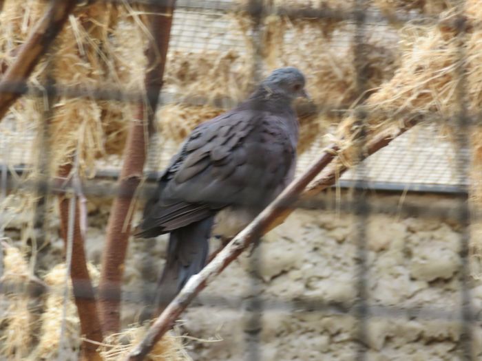 Nutzerbilder ZOO Duisburg AG