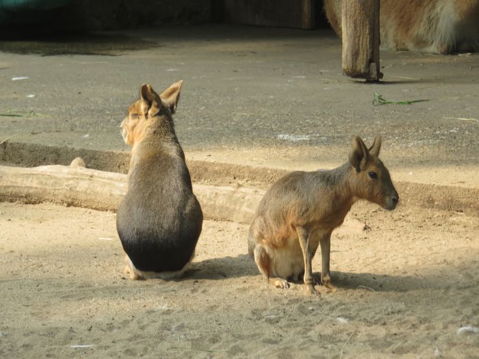 Nutzerbilder ZOO Duisburg AG