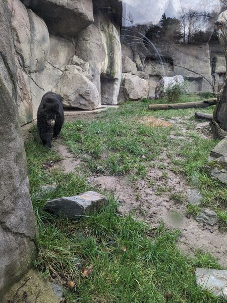 Nutzerbilder ZOO Duisburg AG