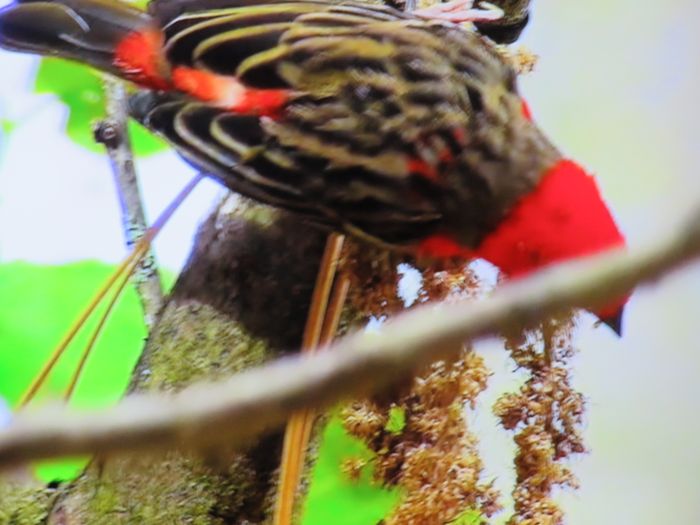 Nutzerbilder Münchener Tierpark Hellabrunn