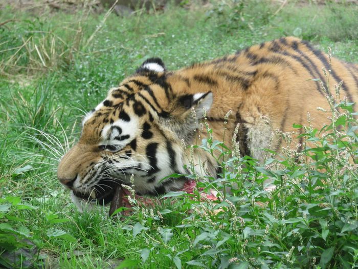 Nutzerbilder ZOO Duisburg AG