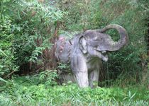 Bild zu Skulpturen im Allwetterzoo