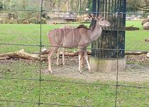 Bild zu Zoo Krefeld