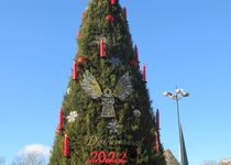 Bild zu Dortmunder Weihnachtsbaum