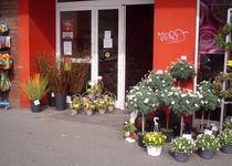 Bild zu Blumen Outlet