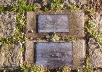 Bild zu Fundament des Lebens - Skulptur im Westfalenpark