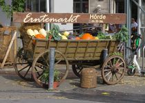 Bild zu Hörder Erntemarkt - jährliches Erntedankfest