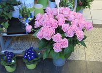Bild zu Die Blume im Hauptbahnhof - Blumen Saur