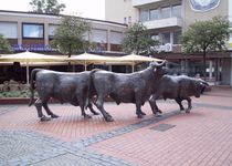 Bild zu Ochsengruppe - Skulptur