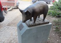 Bild zu Bördeschwein - Bronzeskulptur
