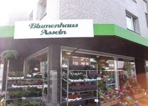 Bild zu Blumenhaus Asseln (Holland Blumenhaus)