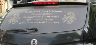 Bild zu Eagle Rock Ranch - Familie Kaßen