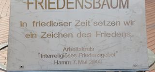 Bild zu Kirchenkreis Hamm Kirchenbüro