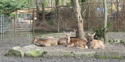Tierpark Hamm in Hamm in Westfalen