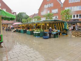 Bild zu Wochenmarkt / Altstadt