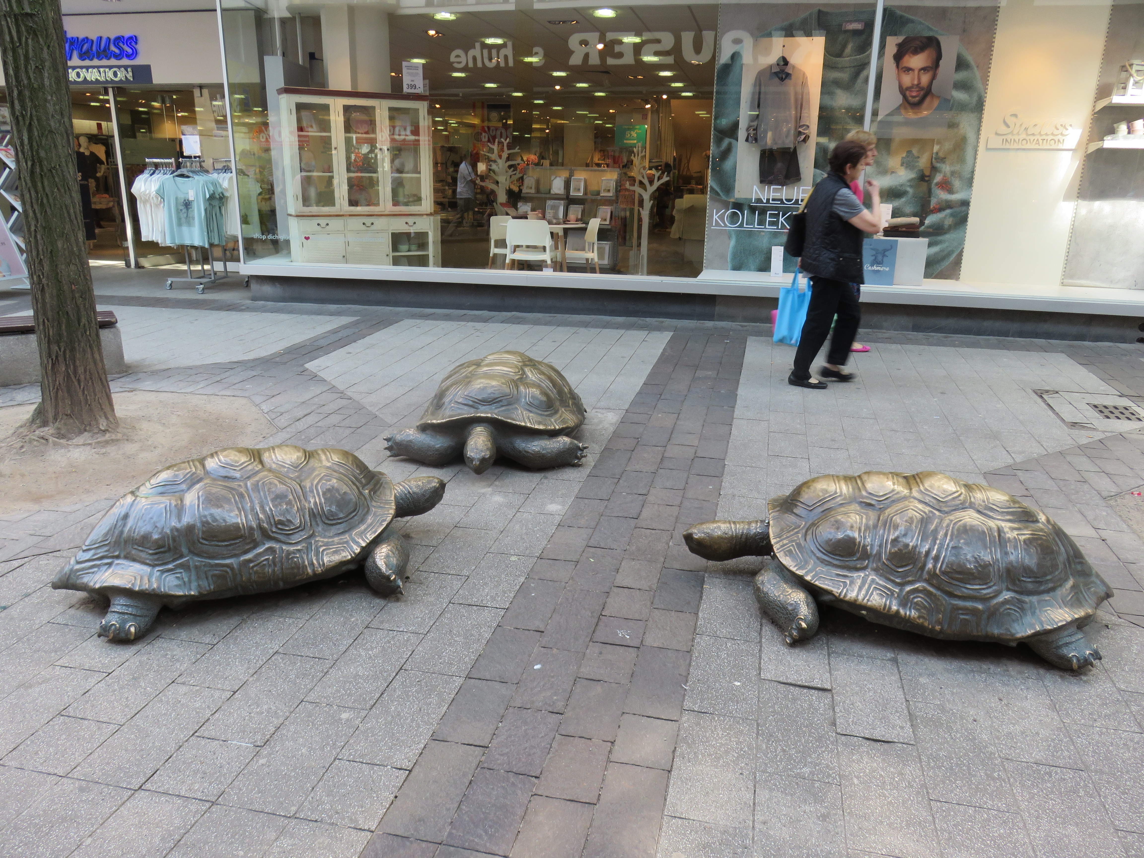 Bronzeschildkröten in der Fußgängerzone