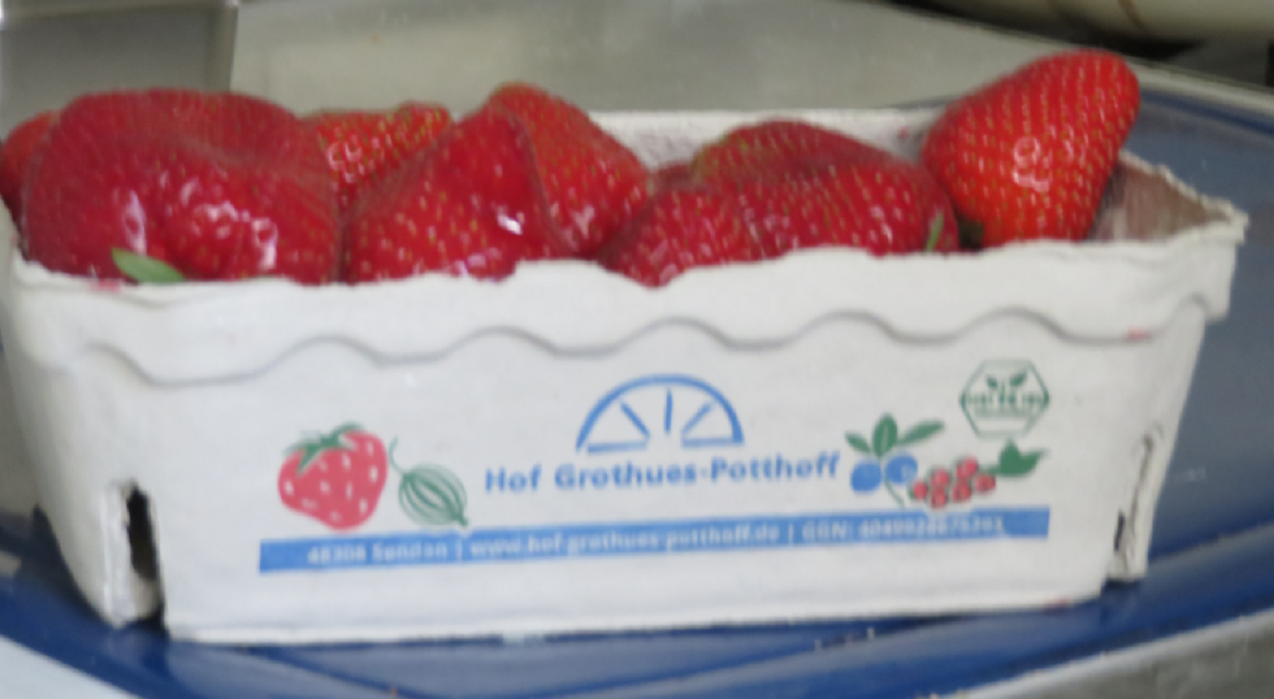 Endlich! Frische Erdbeeren