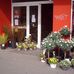 Blumen Outlet in Dortmund