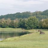 Satzdorfer See - Rädlinger See in Runding