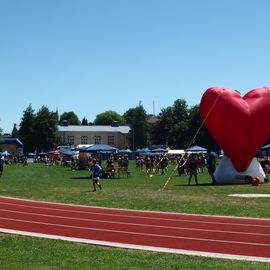 bei einem Sportfest