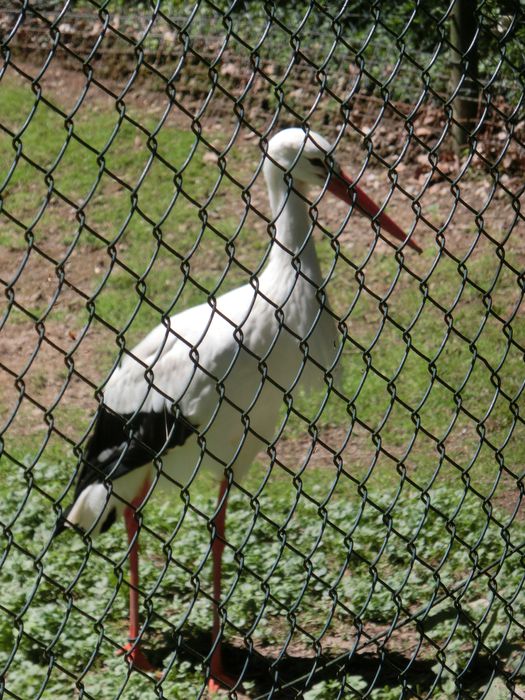 Nutzerbilder Gemeinde Lohberg Tierpark