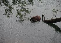 Bild zu Donaupark