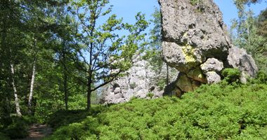 Großer Pfahl bei Viechtach in Viechtach