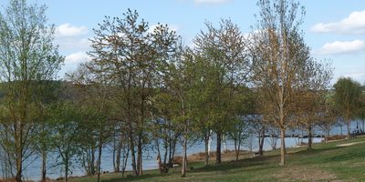 Murner See in Wackersdorf