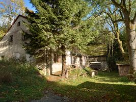 Bild zu Eulenberg Freilichttheater und Advent im Wald