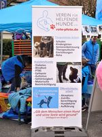 Bild zu Verein für helfende Hunde e.V.