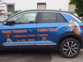 Bild zu Mobile Tierphysio & Akupunktur Sandra Teinze