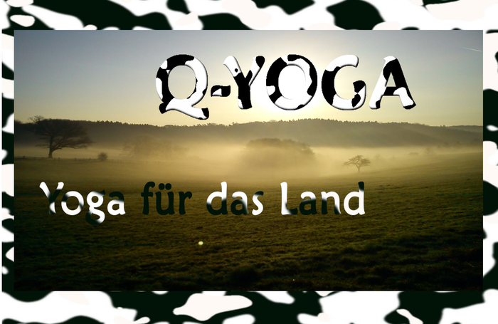 Q-Yoga