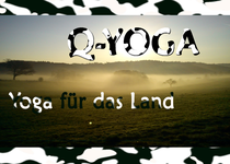 Bild zu Q-Yoga