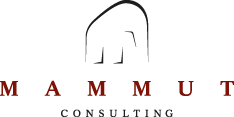 Bild 1 Mammut Consulting GmbH in Kiel