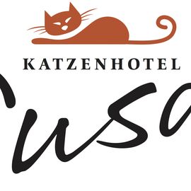 Katzenhotel Susa in Niedenstein
