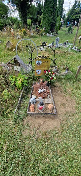 Nutzerbilder Tierfriedhof, Orden Tier-Himmel