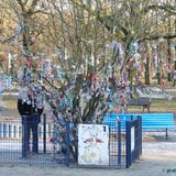 Schnullerbaum am FEZ Wuhlheide in Berlin