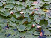 Nutzerbilder Lehrkabinett Teufelssee