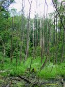 Nutzerbilder Lehrkabinett Teufelssee