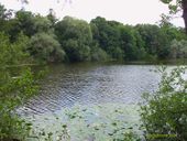 Nutzerbilder Lehrkabinett Teufelssee