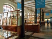 Nutzerbilder Museum für Naturkunde Leibniz-Institut für Evolutions- und Biodiversitätsforschung an der Humboldt-Universität zu Berlin