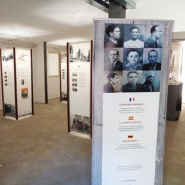 In der Ausstellung (I)