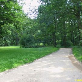Ruinenberg-Park