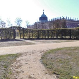 Blick vom Kaiserlichen Privatgarten zum Neuen Palais