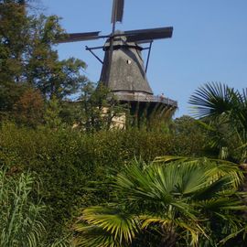 Historische Windmühle von Sanssouci