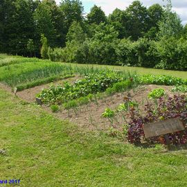 2/3-Acker im Bauerngarten