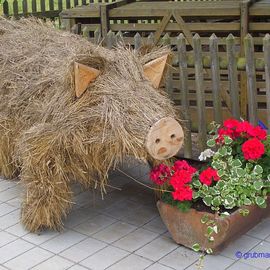 Deutsches Schweinemuseum in Teltow-Ruhlsdorf - Brandenburger Heuschwein